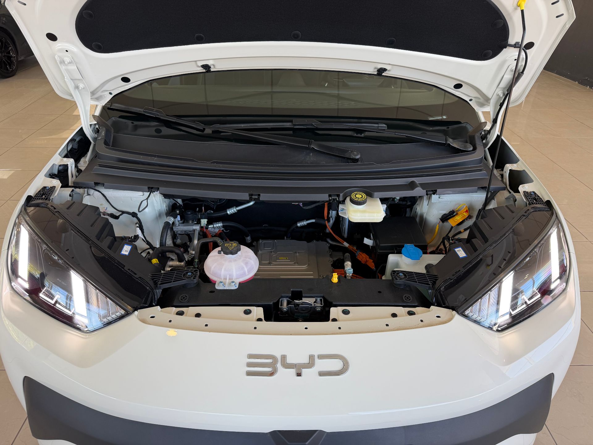 BYD Dolphin Mini - Imagen 8