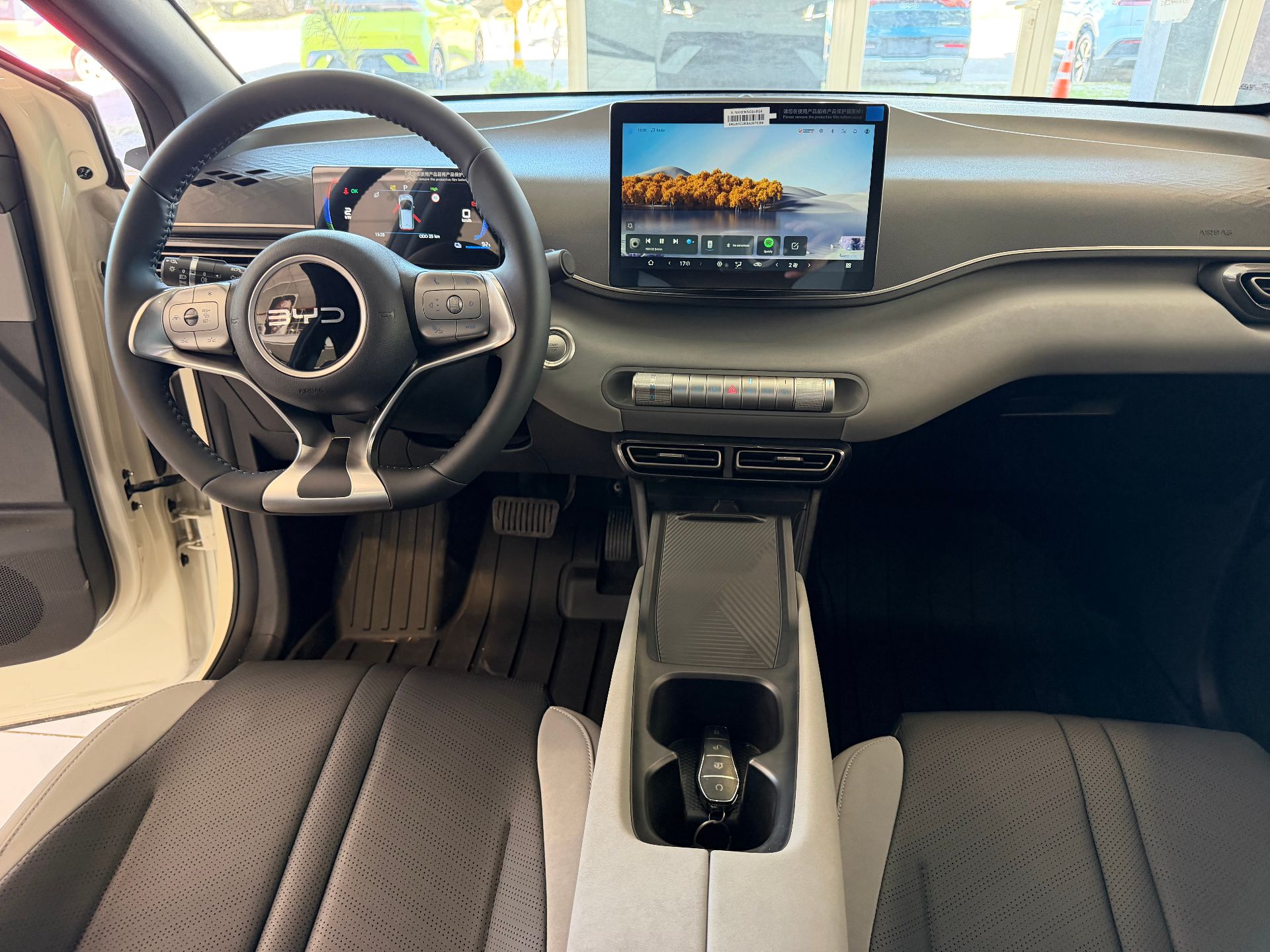 BYD Dolphin Mini - Imagen 9