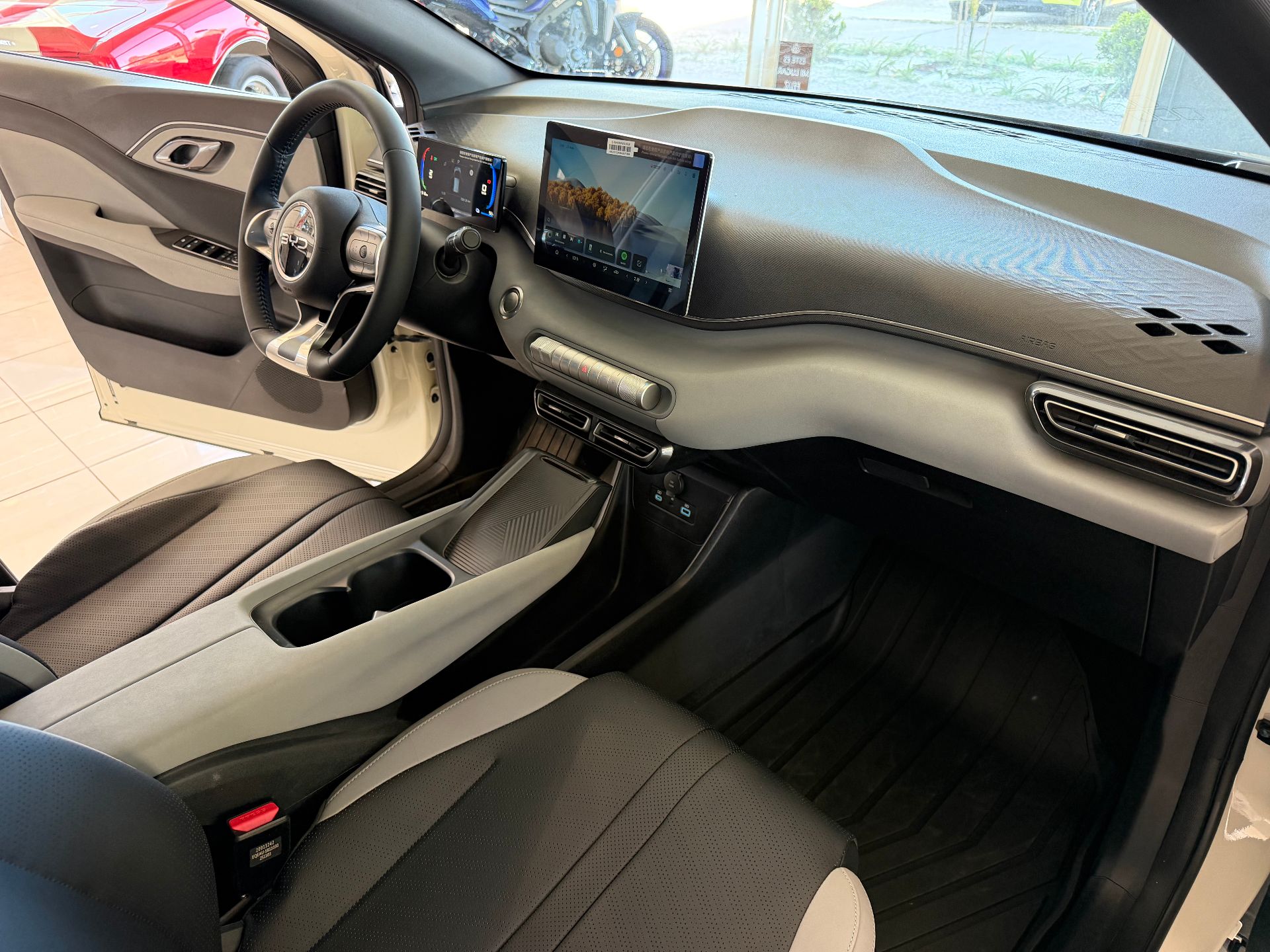 BYD Dolphin Mini - Imagen 10
