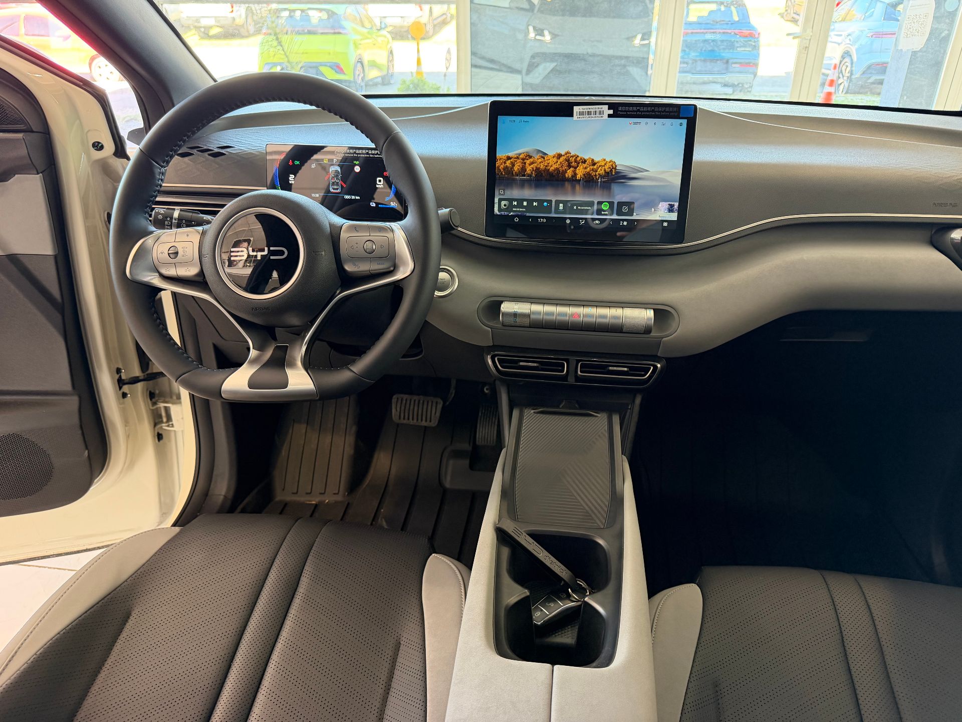 BYD Dolphin Mini - Imagen 11