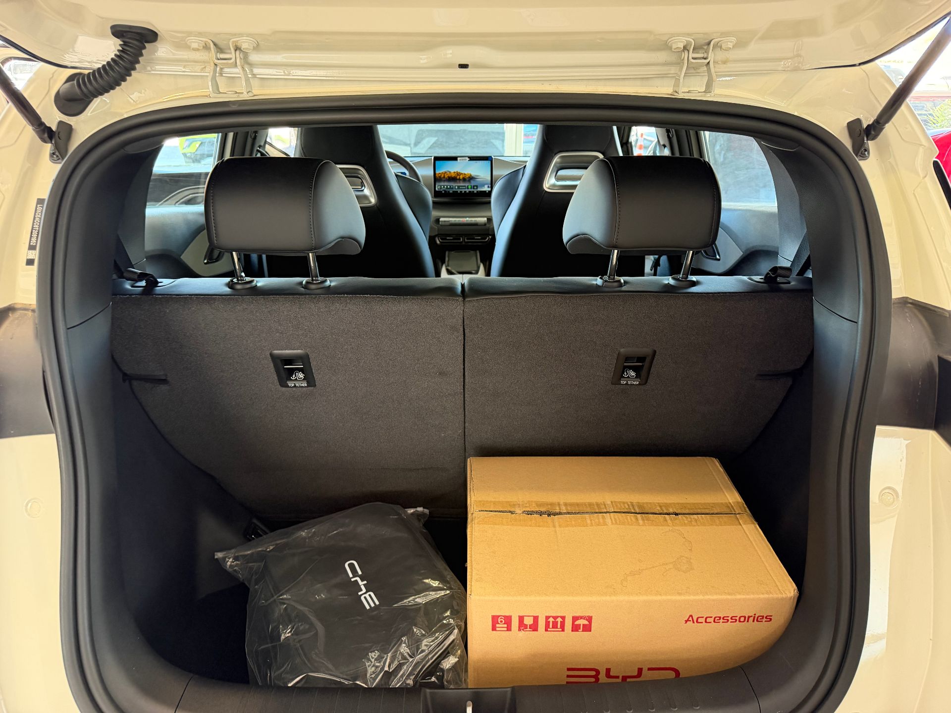 BYD Dolphin Mini - Imagen 13